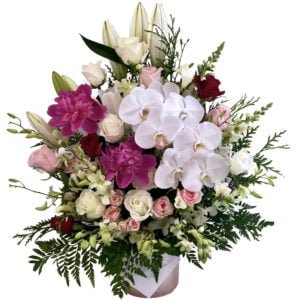 Roses Lilies Orchids