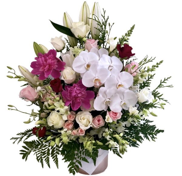 Roses Lilies Orchids