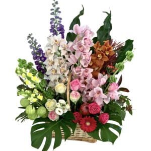 cymbidium orchid basket flower basket