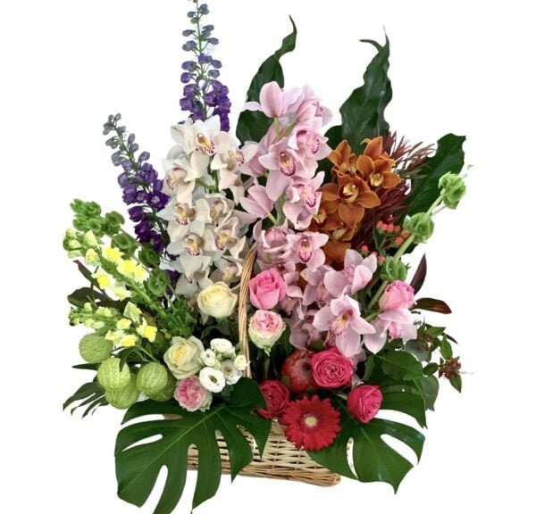 cymbidium orchid basket flower basket