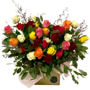 mixed colour roses