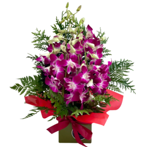 orchid flowers arrangement