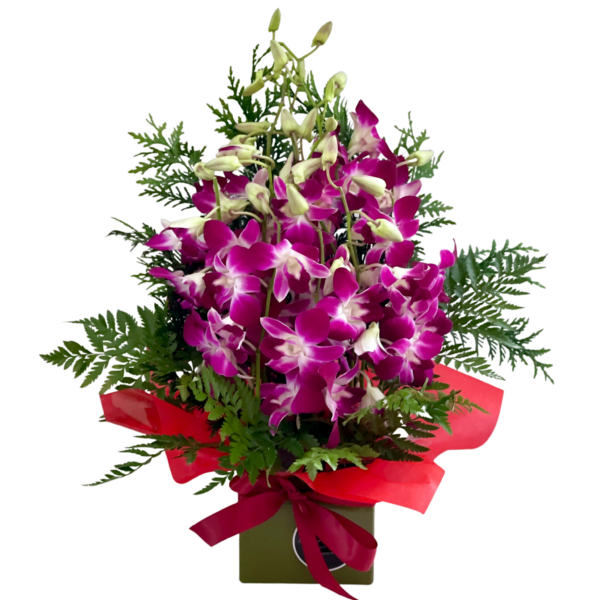orchid flowers arrangement