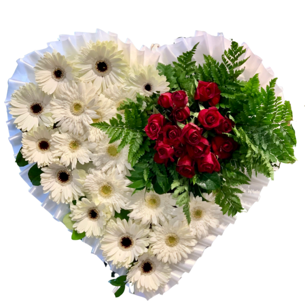 red roses and white gerberas funeral wreath