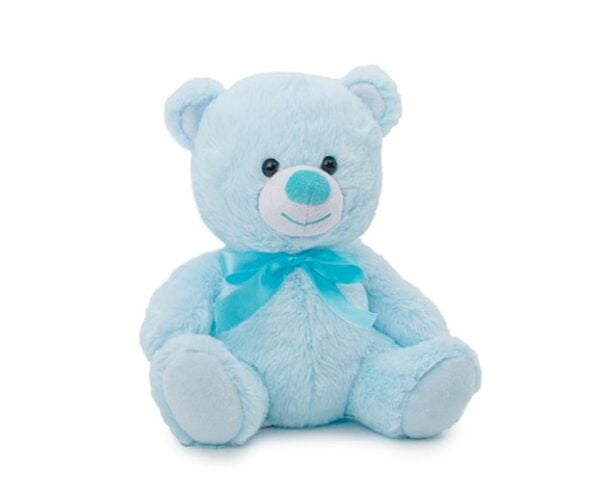 Blue Teddy Bear Small Plus