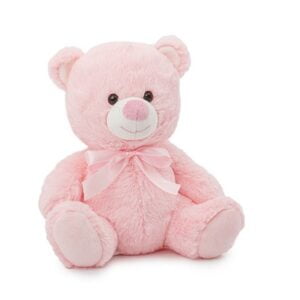 Pink teddy bear small plus