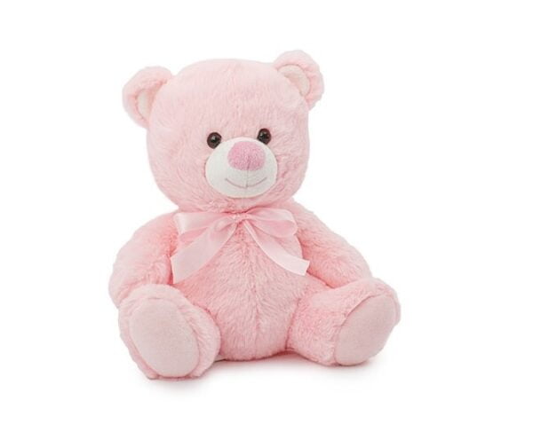 Pink teddy bear small plus